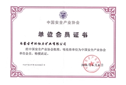 中國(guó)安全產(chǎn)業(yè)協(xié)會(huì)會(huì)員證書(shū)